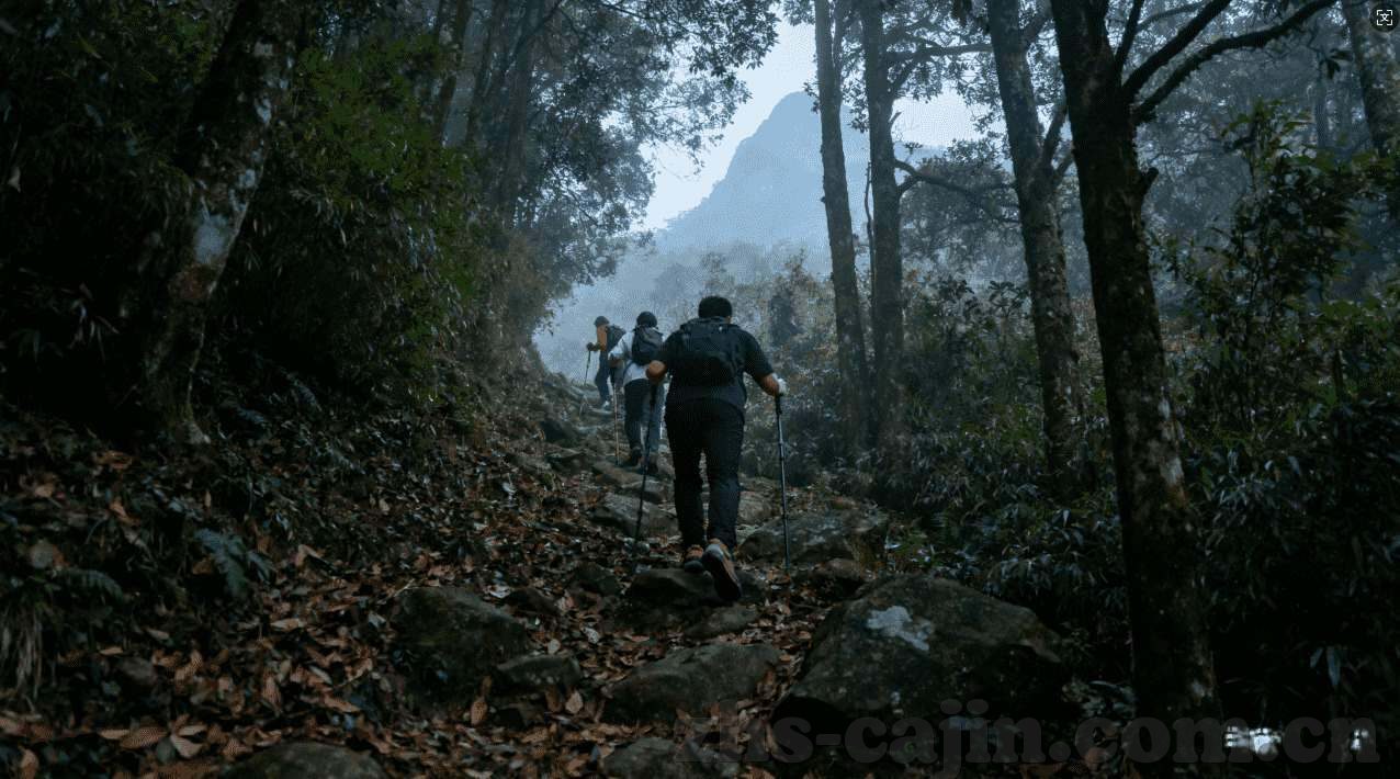 澳门赌场广告台词-澳门赌场广告台词，魅力与诱惑的交织