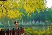 世界杯网络体育彩票-世界杯网络体育彩票，一场全球狂欢的数字经济浪潮